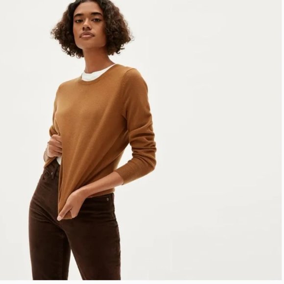 Everlane Cashmere Crew Neck Sweater